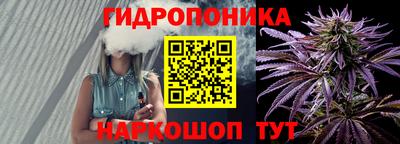 шишки Жуковский