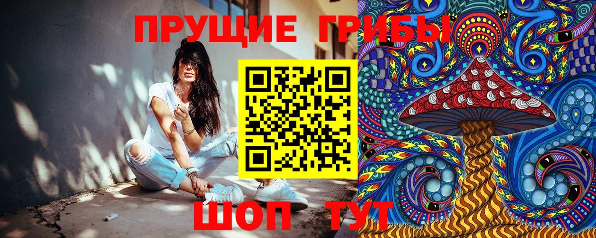 Псилоцибиновые грибы Cubensis Менделеевск